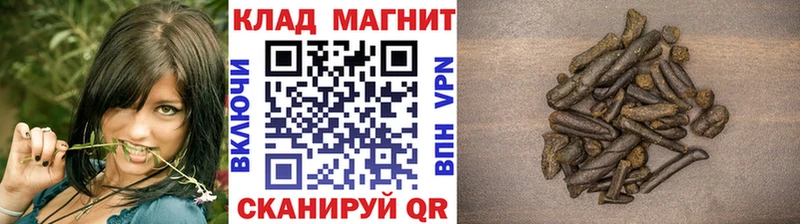 Виды наркотиков купить Елец Псилоцибиновые грибы Cocaine Меф Марихуана Амфетамин