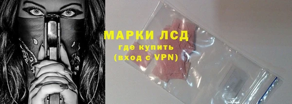 PSILOCYBIN Вяземский