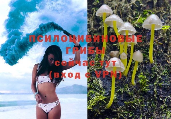 первитин Горняк