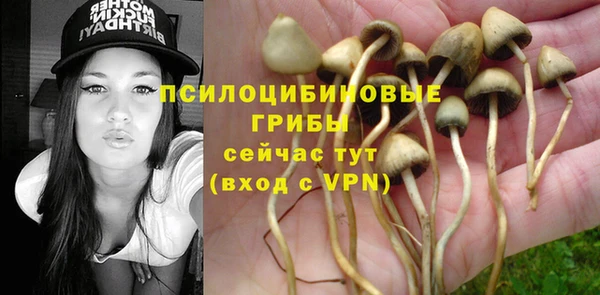 первитин Горняк