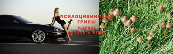 каннабис Горнозаводск